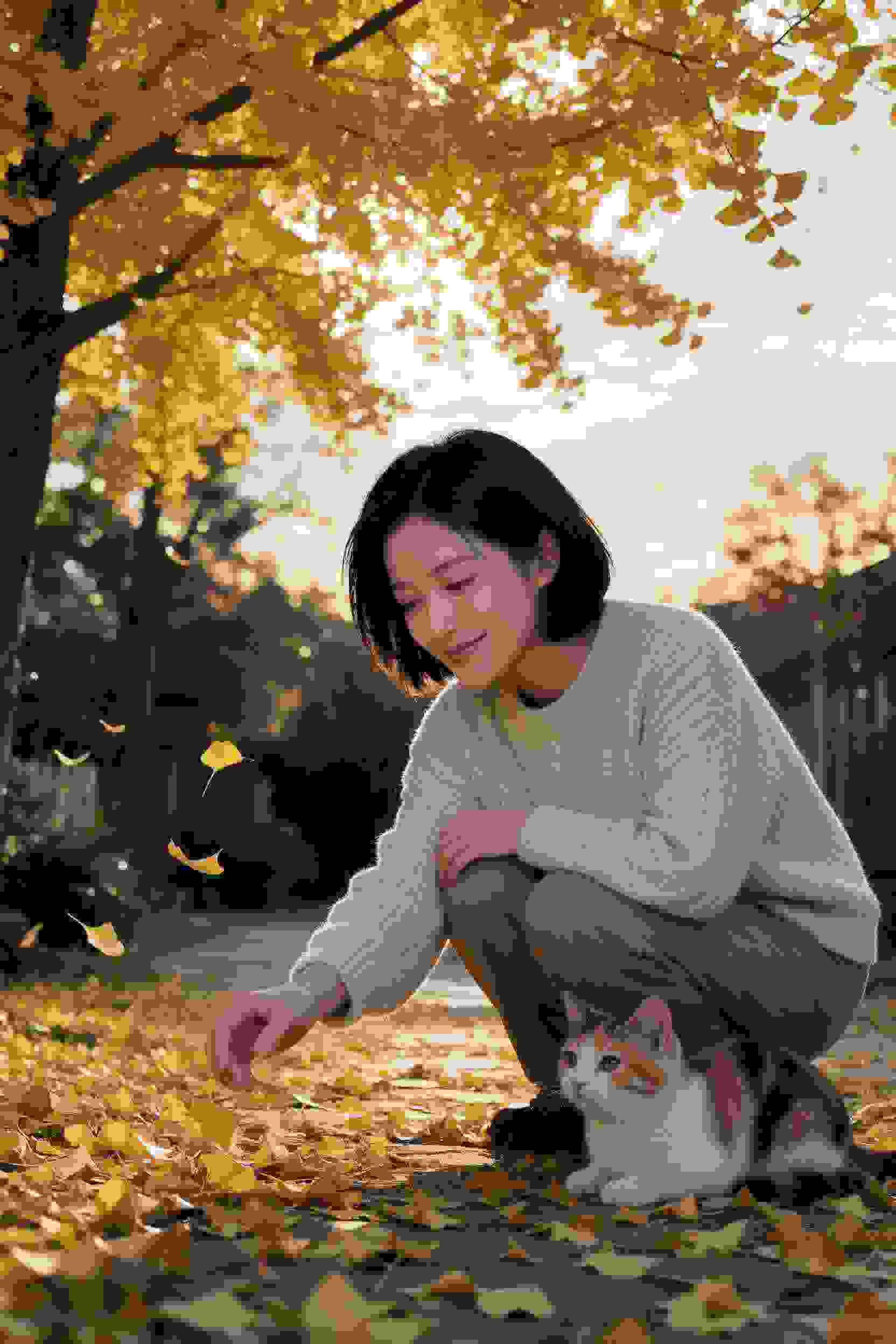 剧作
